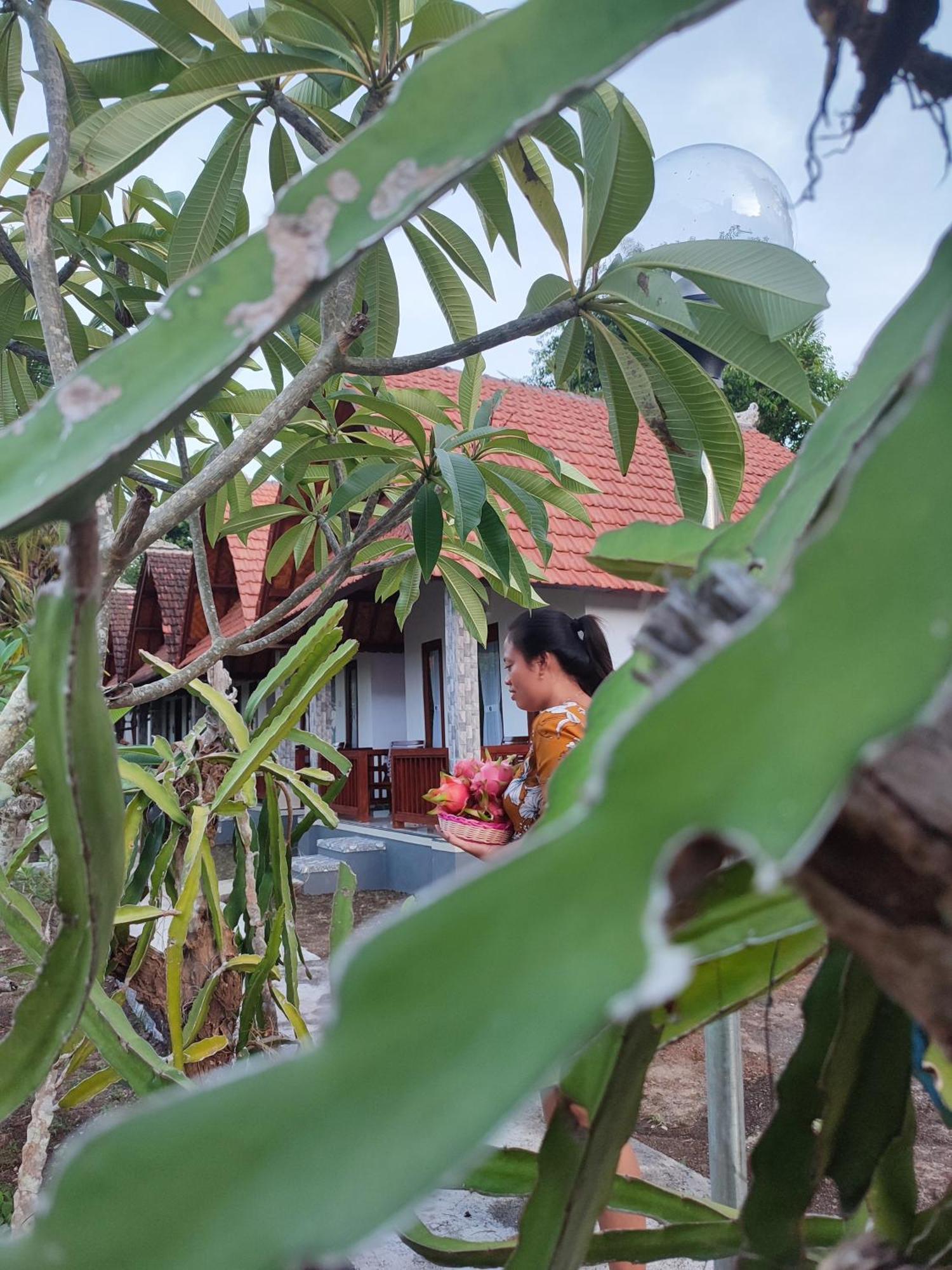 Santhi Guna Bungalow Toyapakeh 外观 照片